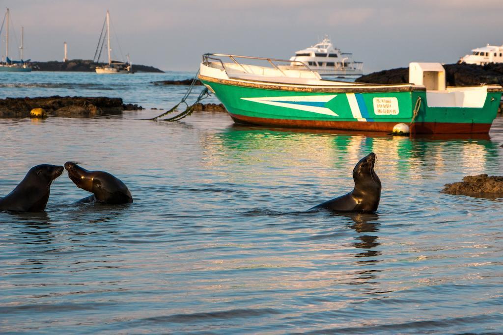 Chez Manany Galapagos Ecolodge Puerto Villamil Buitenkant foto